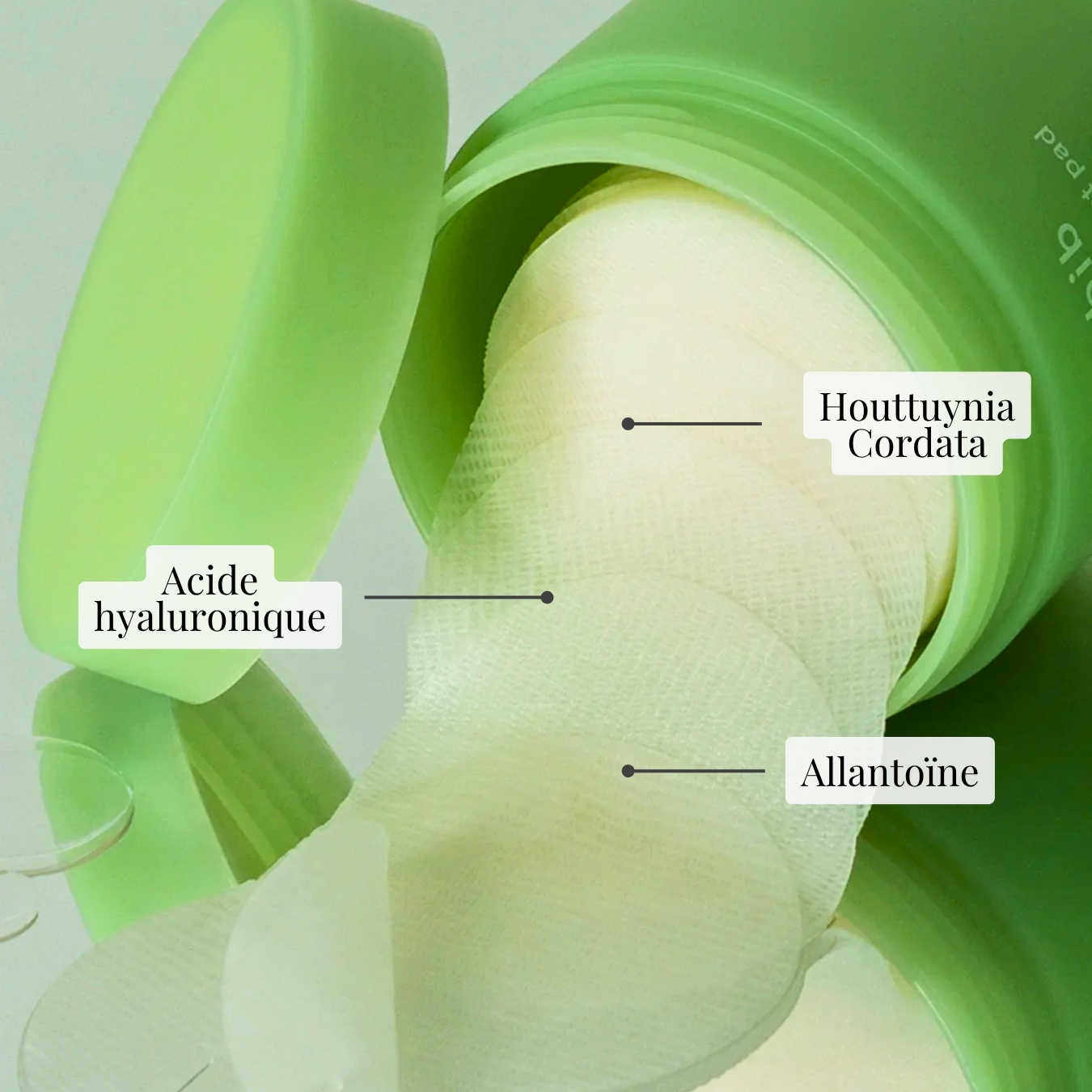 Heartleaf Spot Pad Calming touch