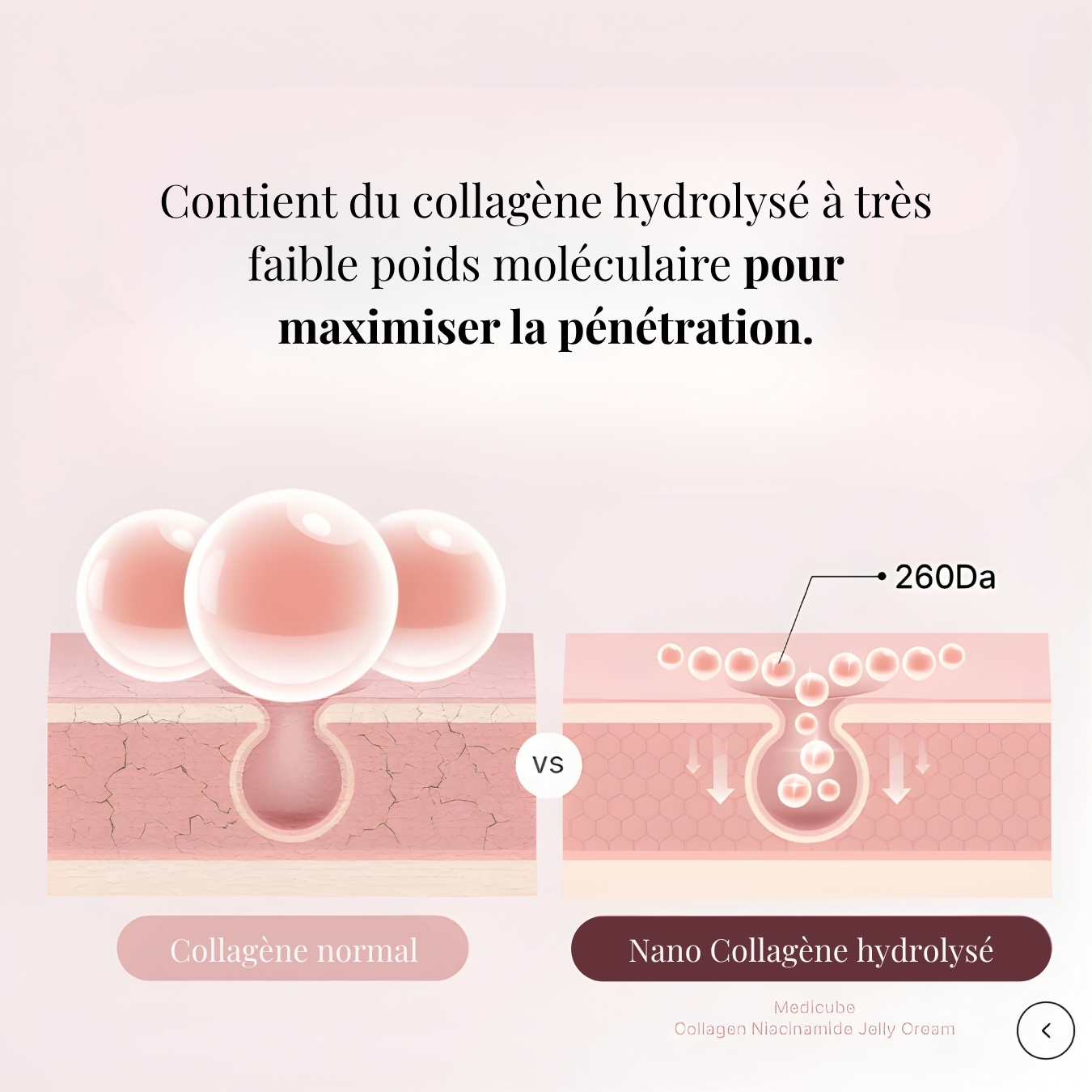 Collagen Jelly Cream