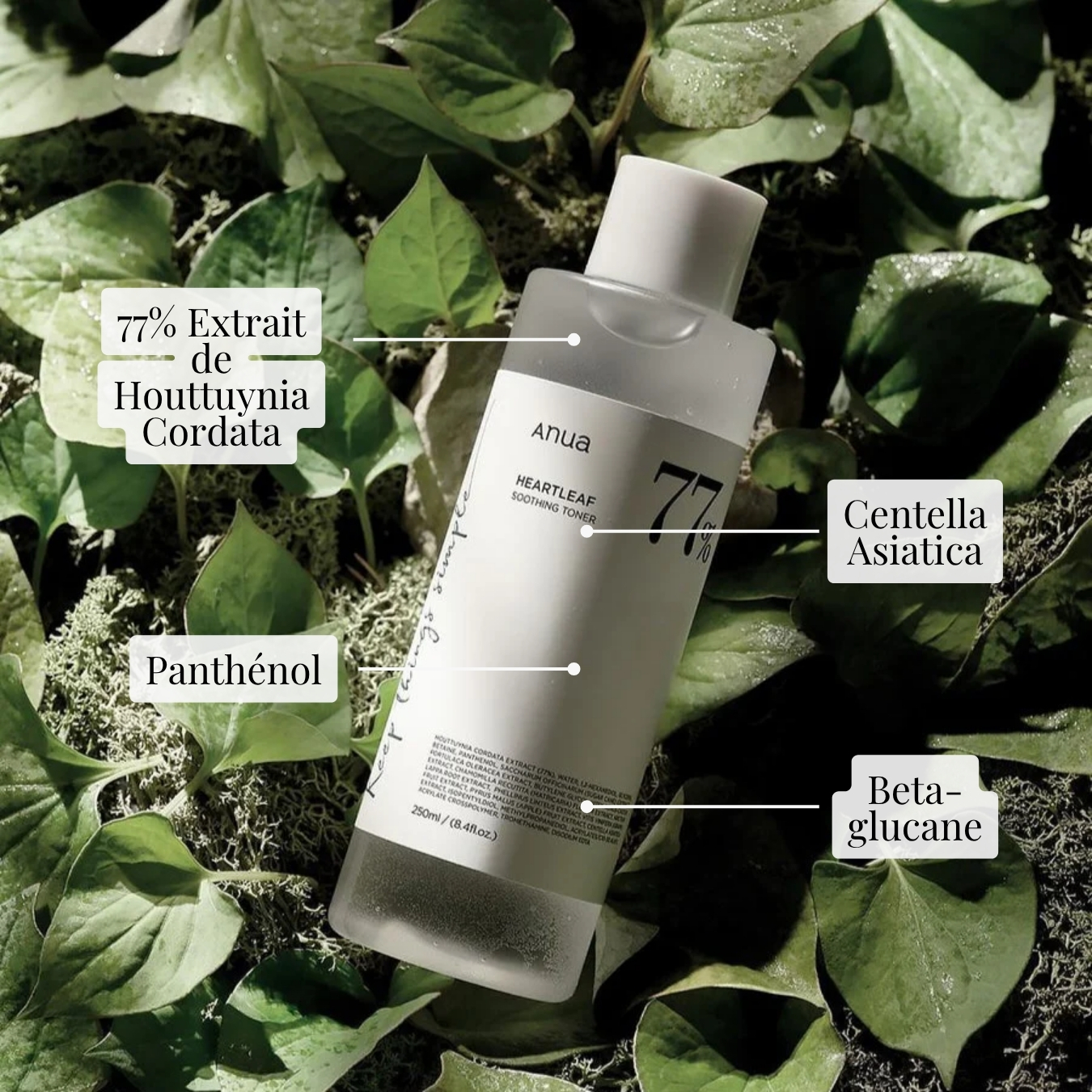 Heartleaf 77% Soothing Toner