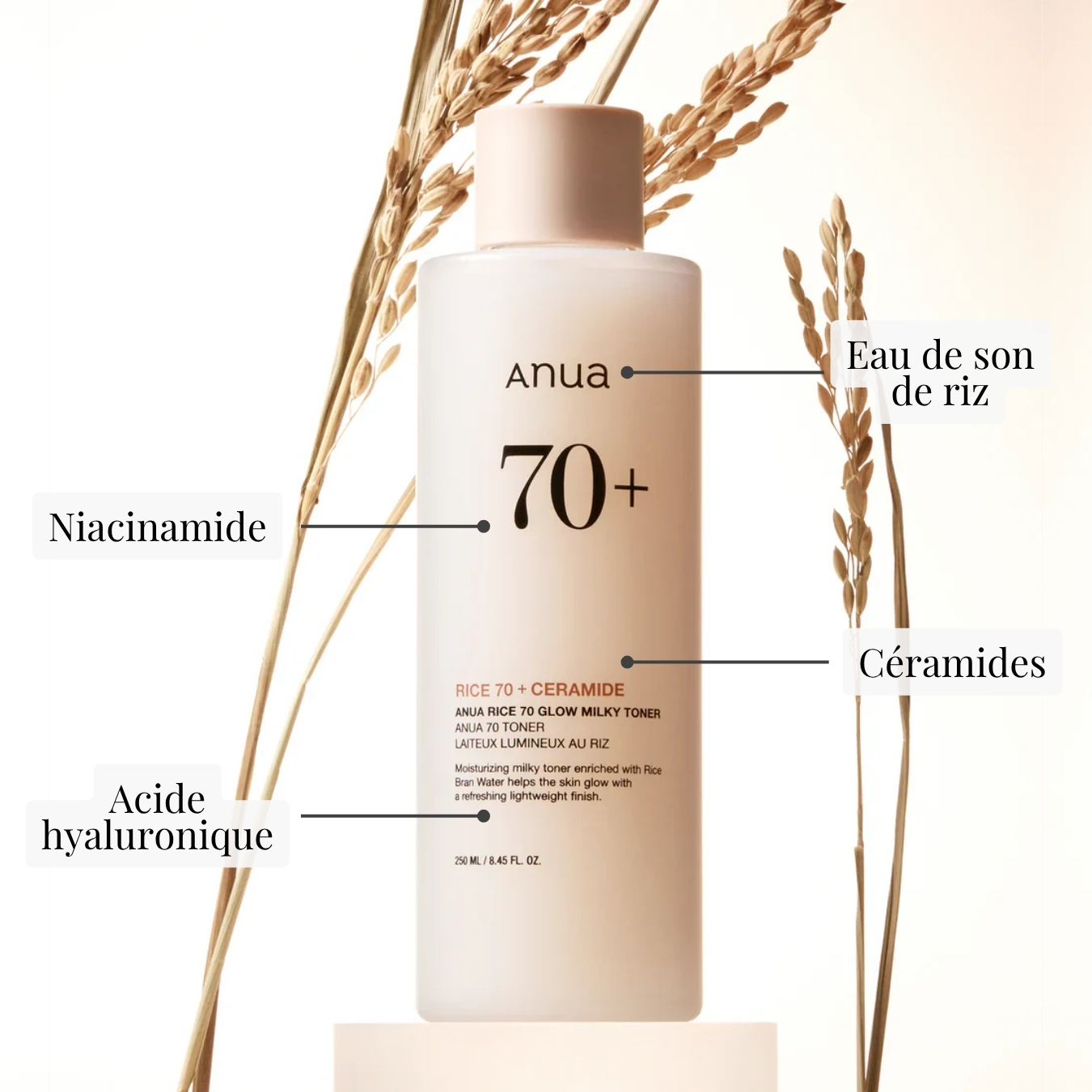 Rice 70 Glow Milky Toner