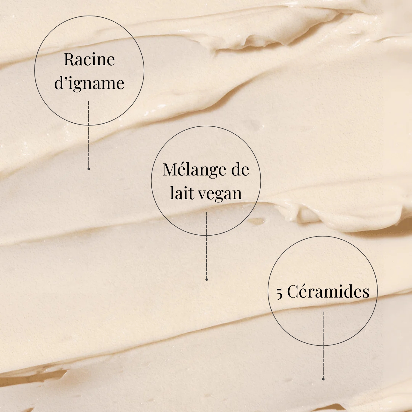 Yam Root Vegan Milk Cream