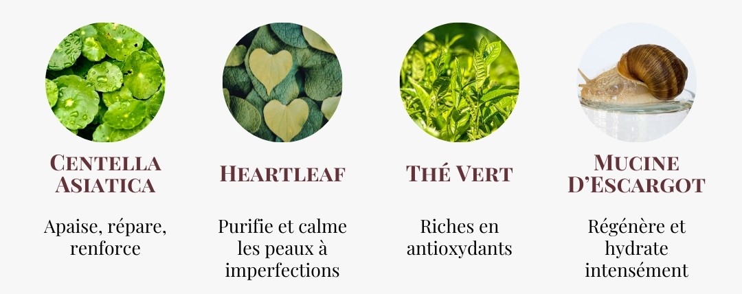 Infographie des ingrédients K-beauty stars : Centella Asiatica, Heartleaf, Thé Vert, Mucine d'Escargot